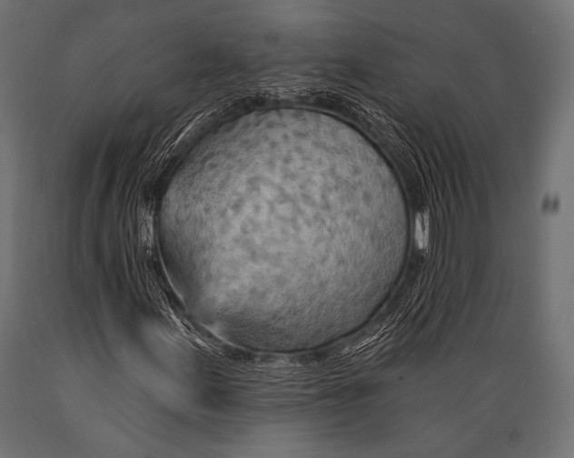 X0000088871155200706291534