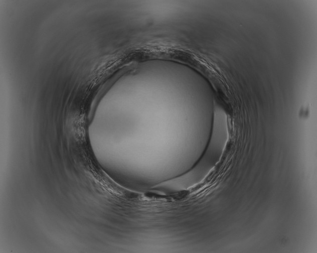 X0000088871156200706291534