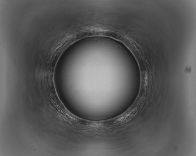 X0000088871157200706291534
