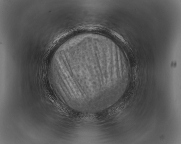 X0000088871158200706291534