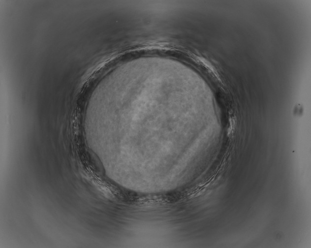 X0000088871159200706291534