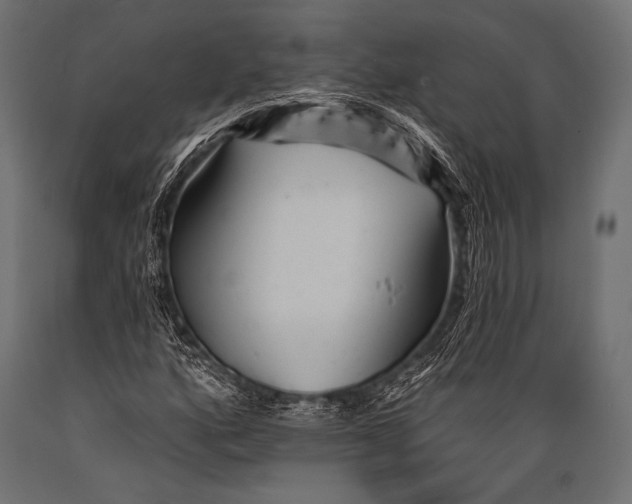 X0000088871160200706291534