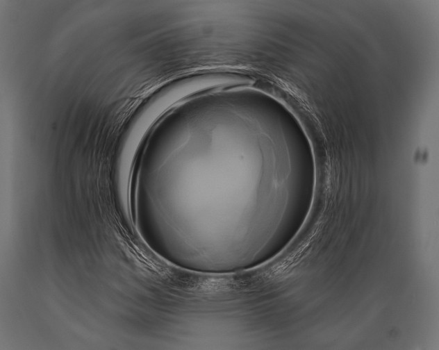 X0000088871161200706291534