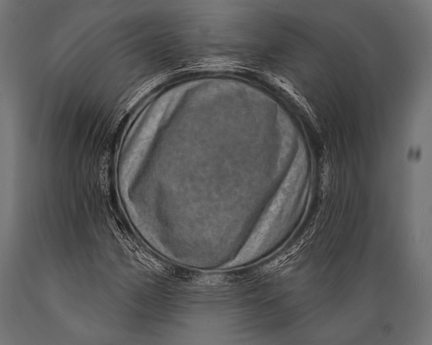 X0000088871162200706291534