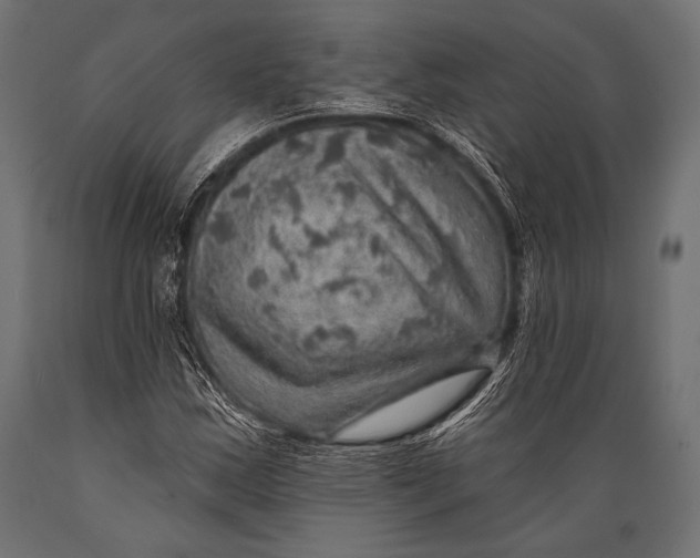 X0000088871163200706291534