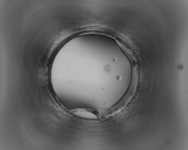 X0000088871164200706291534