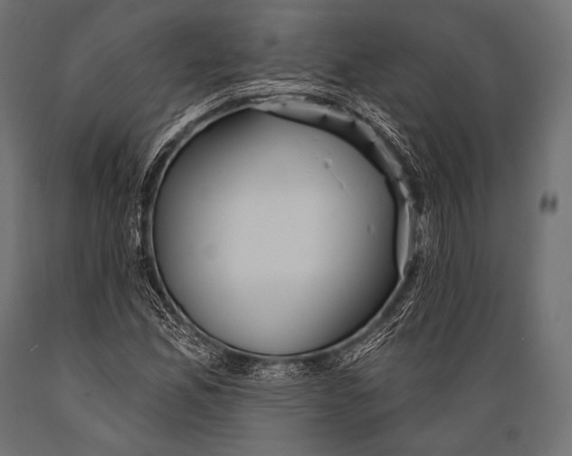 X0000088871165200706291534