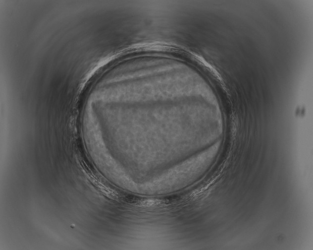 X0000088871166200706291534