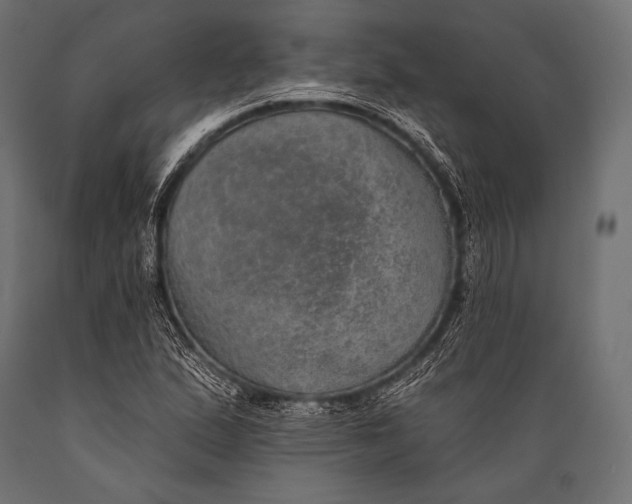 X0000088871167200706291534