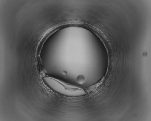 X0000088871168200706291534
