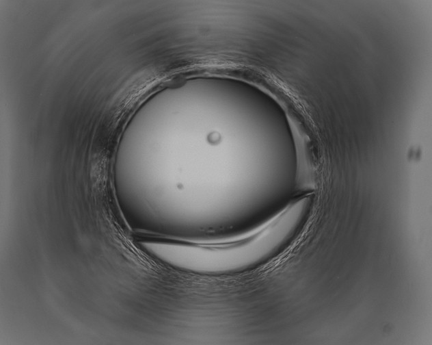 X0000088871169200706291534