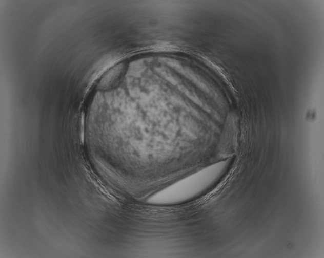 X0000088871171200706291534