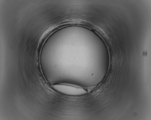 X0000088871172200706291534