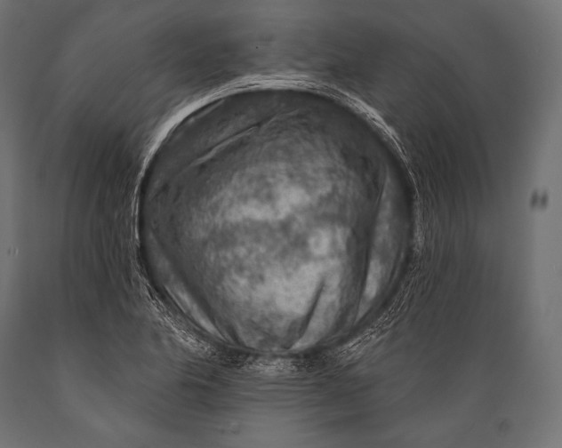 X0000088871174200706291534