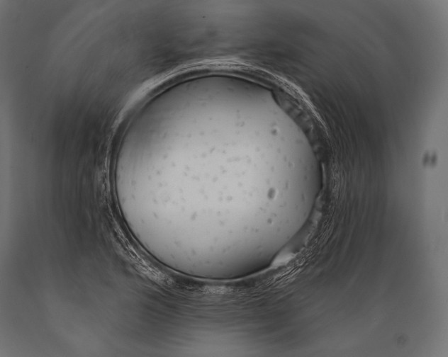X0000088871176200706291534