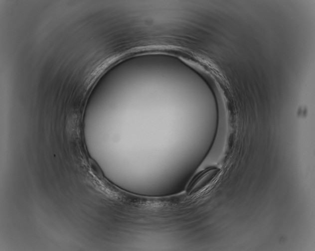 X0000088871177200706291534