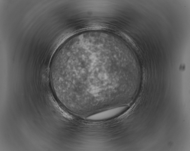 X0000088871178200706291534