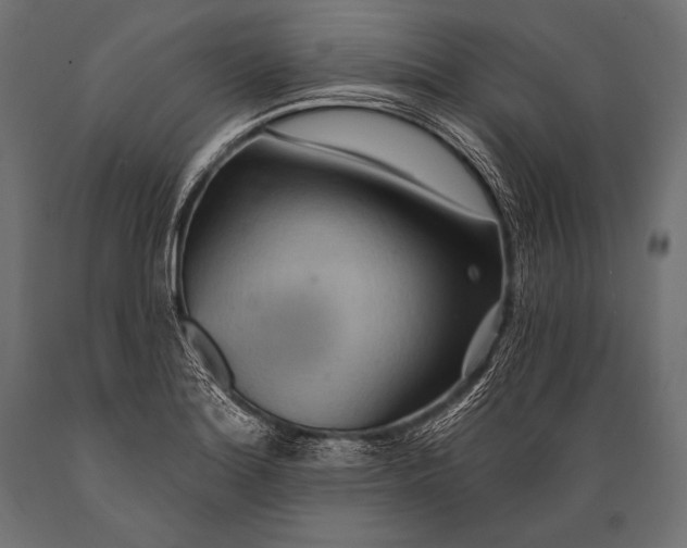 X0000088871180200706291533
