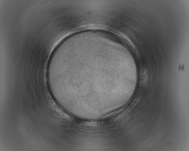 X0000088871182200706291533