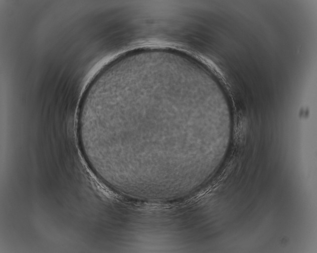 X0000088871183200706291533