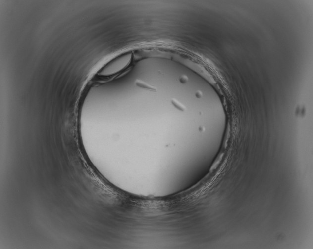 X0000088871184200706291533