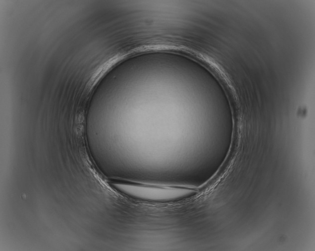 X0000088871185200706291533