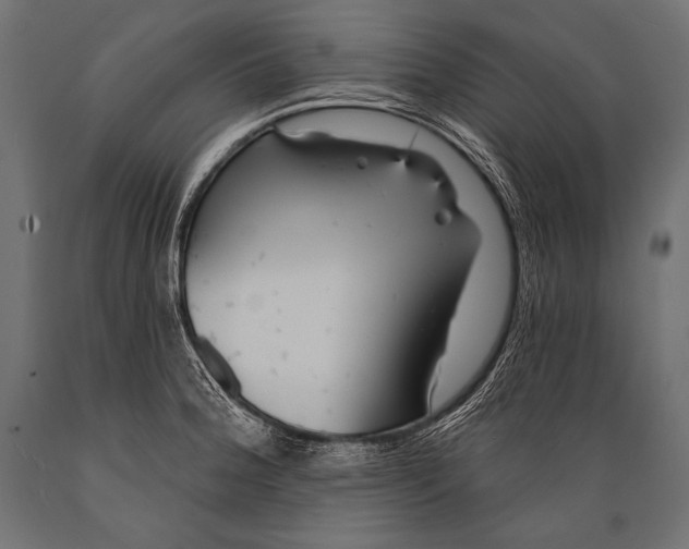 X0000088871188200706291533