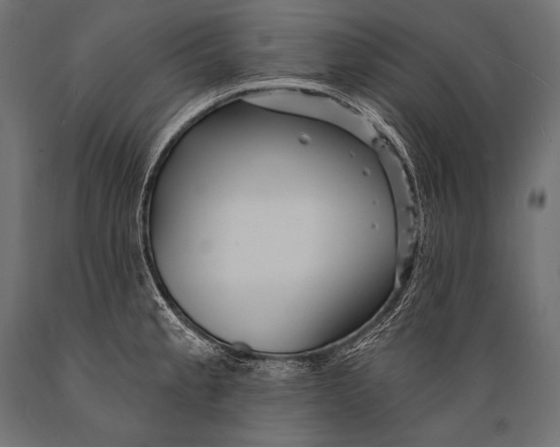 X0000088871189200706291533