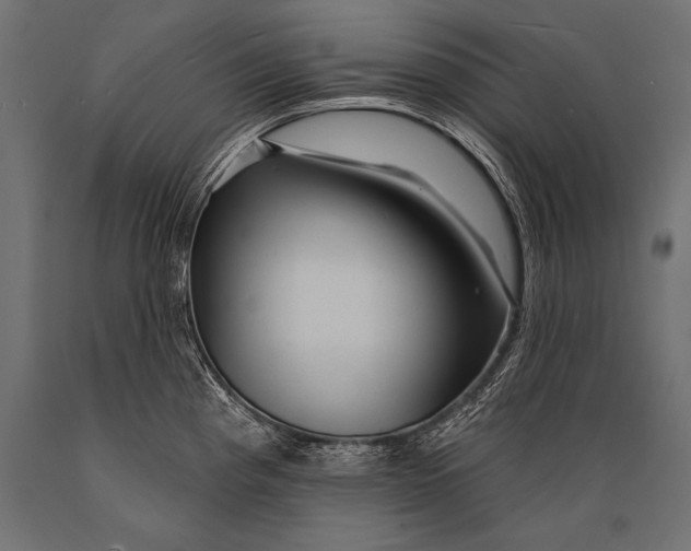 X0000088871193200706291533