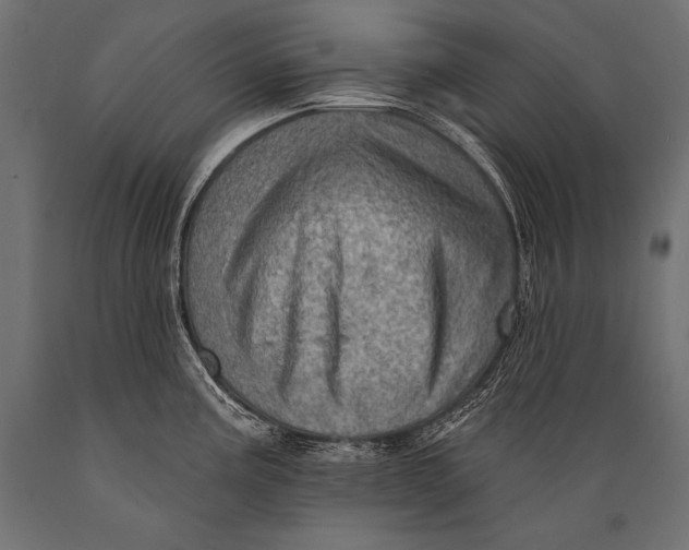 X0000088871195200706291533