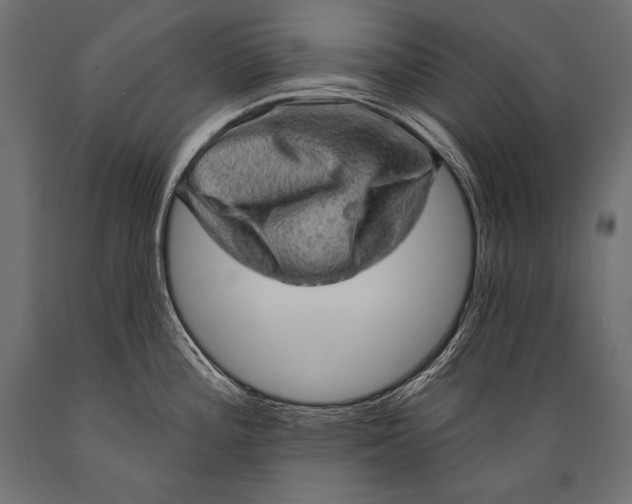 X0000088871196200706291533