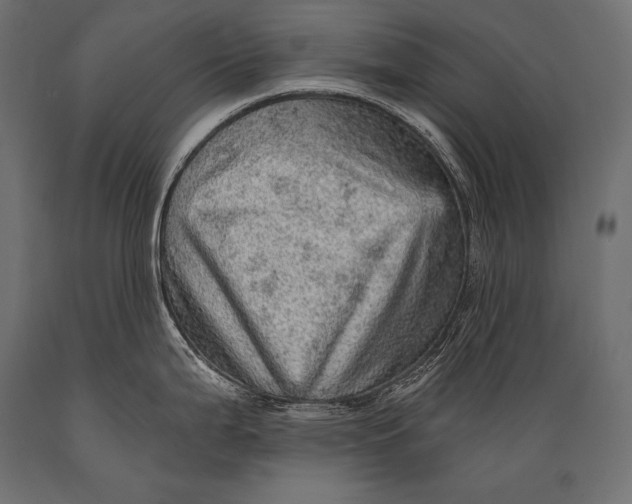 X0000088871199200706291533
