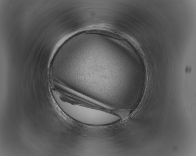 X0000088871200200706291533