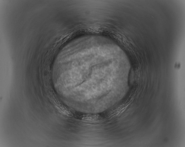 X0000088871201200706291532