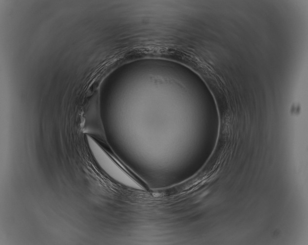 X0000088871202200706291532