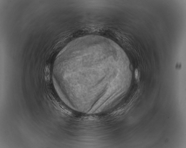X0000088871203200706291532