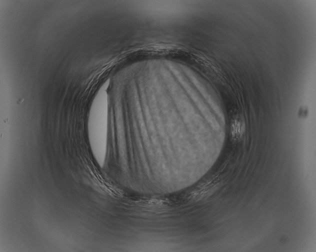 X0000088871204200706291532