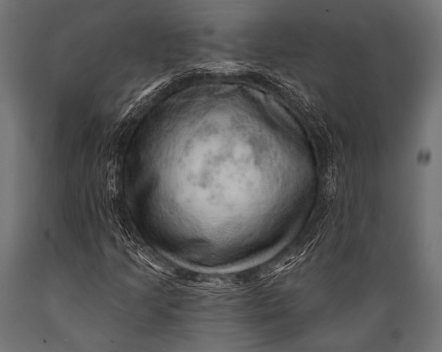 X0000088871205200706291532