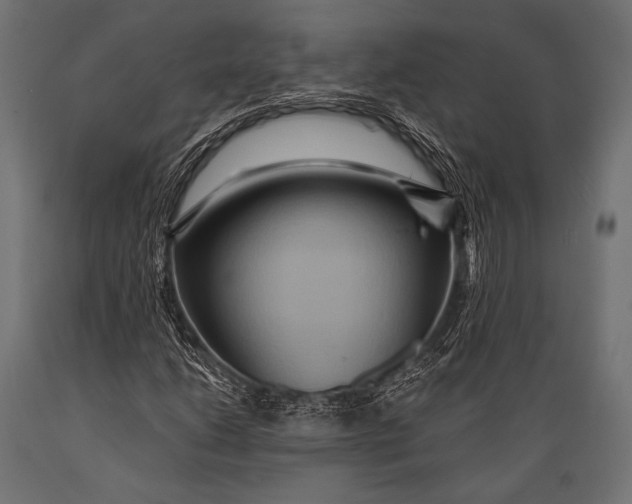 X0000088871206200706291532