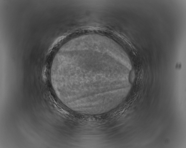 X0000088871207200706291532