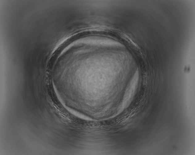 X0000088871208200706291532