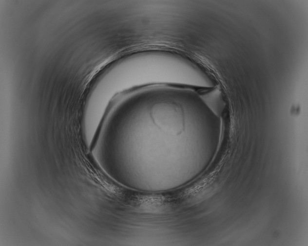 X0000088871210200706291533