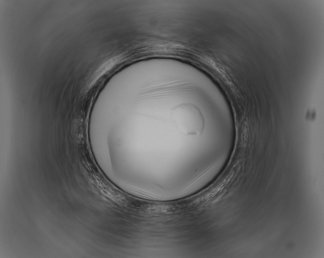 X0000088871211200706291533