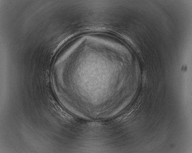 X0000088871212200706291533