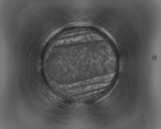X0000088871213200706291533