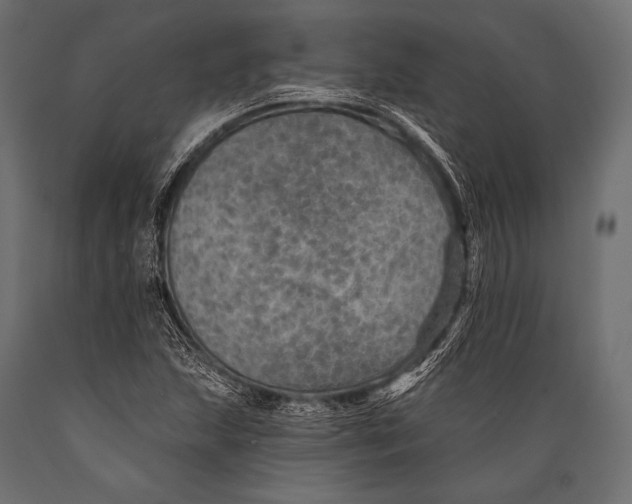 X0000088871215200706291533