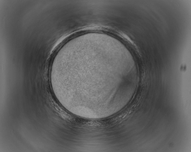X0000088871216200706291533