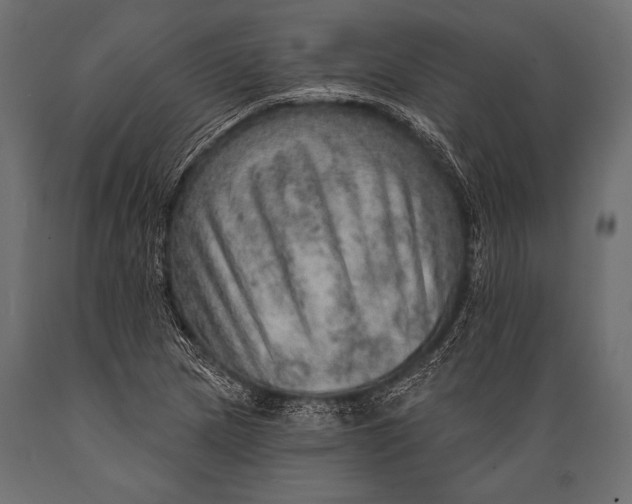 X0000088871217200706291533