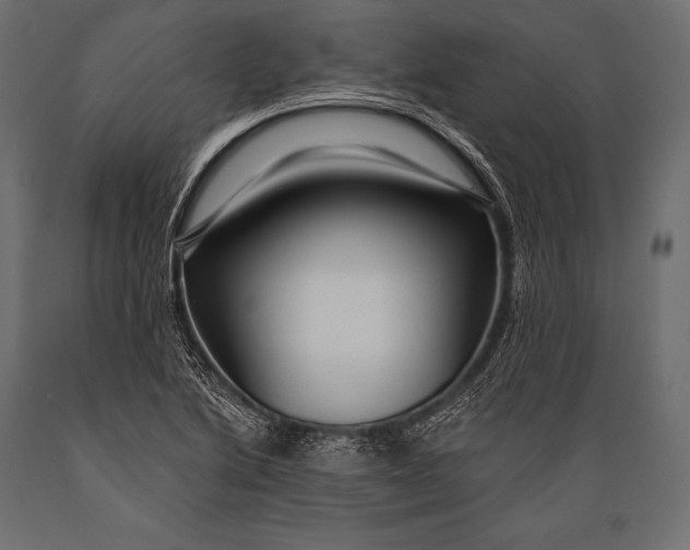 X0000088871222200706291533