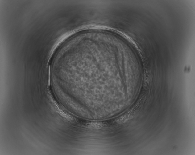 X0000088871223200706291533